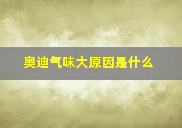 奥迪气味大原因是什么