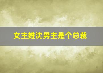 女主姓沈男主是个总裁