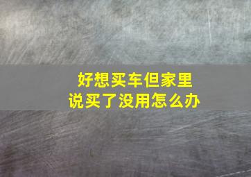 好想买车但家里说买了没用怎么办