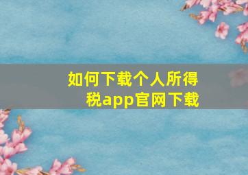 如何下载个人所得税app官网下载