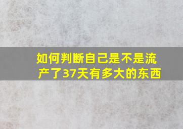 如何判断自己是不是流产了37天有多大的东西