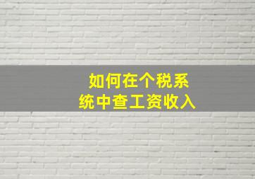 如何在个税系统中查工资收入