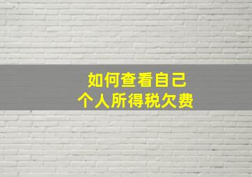 如何查看自己个人所得税欠费