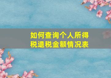 如何查询个人所得税退税金额情况表