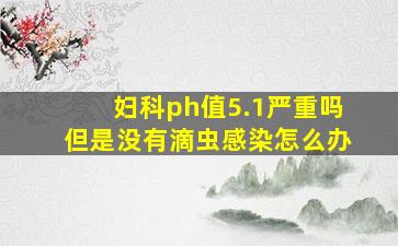 妇科ph值5.1严重吗但是没有滴虫感染怎么办