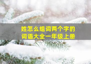 姓怎么组词两个字的词语大全一年级上册