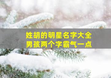 姓胡的明星名字大全男孩两个字霸气一点