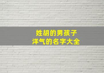 姓胡的男孩子洋气的名字大全