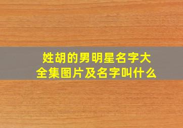 姓胡的男明星名字大全集图片及名字叫什么