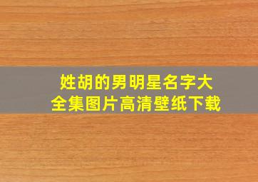 姓胡的男明星名字大全集图片高清壁纸下载