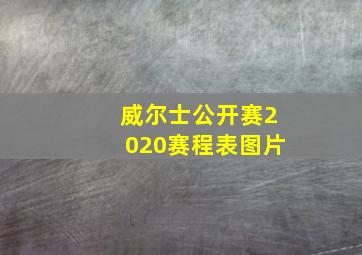 威尔士公开赛2020赛程表图片