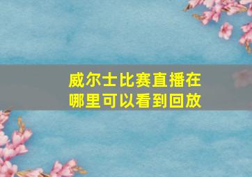 威尔士比赛直播在哪里可以看到回放