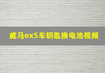 威马ex5车钥匙换电池视频