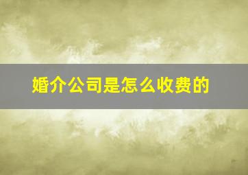 婚介公司是怎么收费的