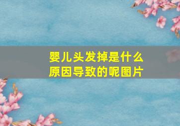 婴儿头发掉是什么原因导致的呢图片