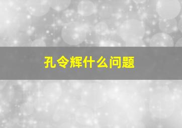 孔令辉什么问题