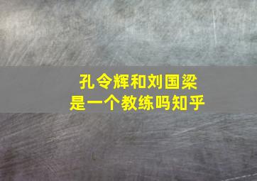 孔令辉和刘国梁是一个教练吗知乎