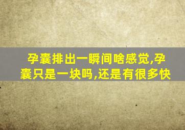 孕囊排出一瞬间啥感觉,孕囊只是一块吗,还是有很多快