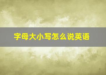 字母大小写怎么说英语