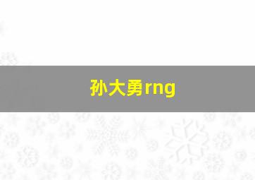 孙大勇rng