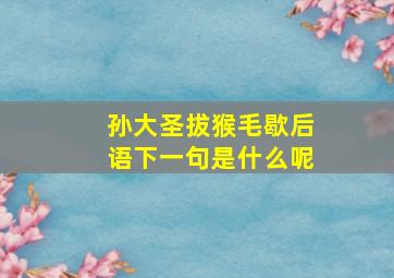 孙大圣拔猴毛歇后语下一句是什么呢