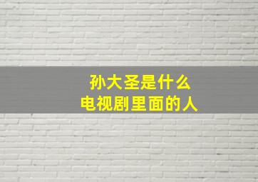 孙大圣是什么电视剧里面的人