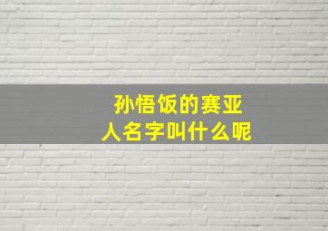 孙悟饭的赛亚人名字叫什么呢