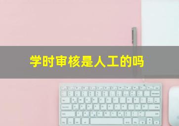 学时审核是人工的吗