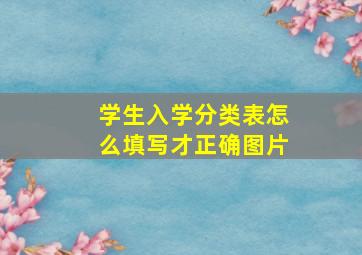 学生入学分类表怎么填写才正确图片