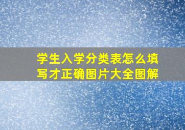 学生入学分类表怎么填写才正确图片大全图解