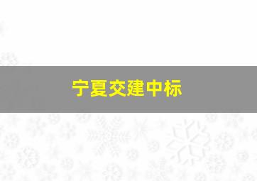 宁夏交建中标