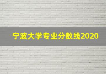 宁波大学专业分数线2020