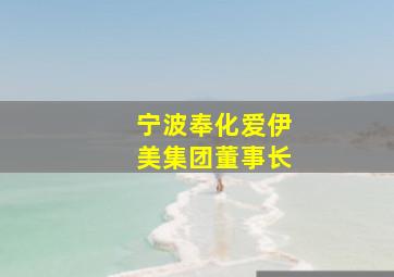 宁波奉化爱伊美集团董事长