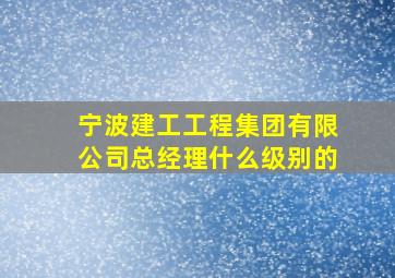 宁波建工工程集团有限公司总经理什么级别的