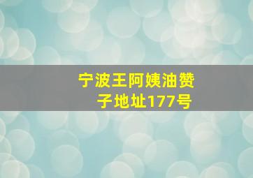 宁波王阿姨油赞子地址177号