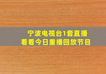 宁波电视台1套直播看看今日重播回放节目