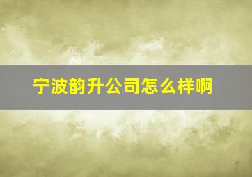 宁波韵升公司怎么样啊