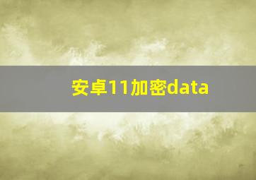 安卓11加密data