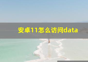 安卓11怎么访问data