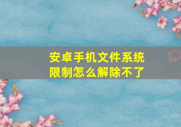 安卓手机文件系统限制怎么解除不了