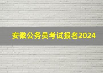 安徽公务员考试报名2024