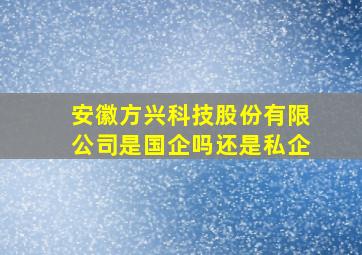 安徽方兴科技股份有限公司是国企吗还是私企