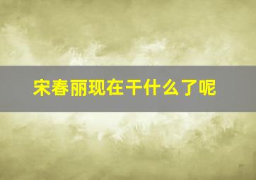 宋春丽现在干什么了呢