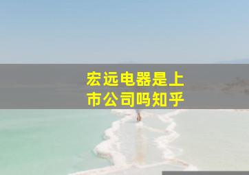 宏远电器是上市公司吗知乎