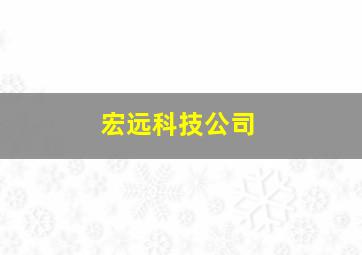 宏远科技公司