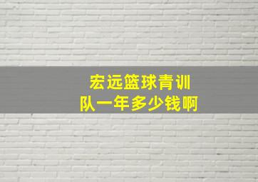 宏远篮球青训队一年多少钱啊