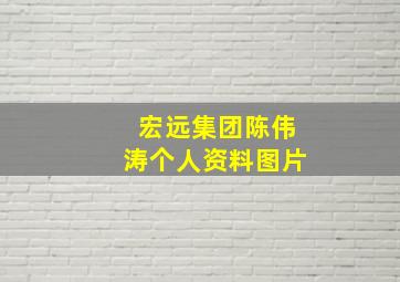 宏远集团陈伟涛个人资料图片