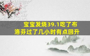 宝宝发烧39.1吃了布洛芬过了几小时有点回升