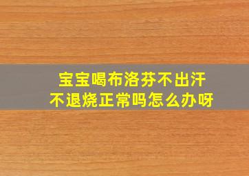 宝宝喝布洛芬不出汗不退烧正常吗怎么办呀