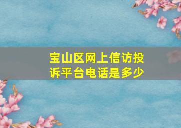 宝山区网上信访投诉平台电话是多少